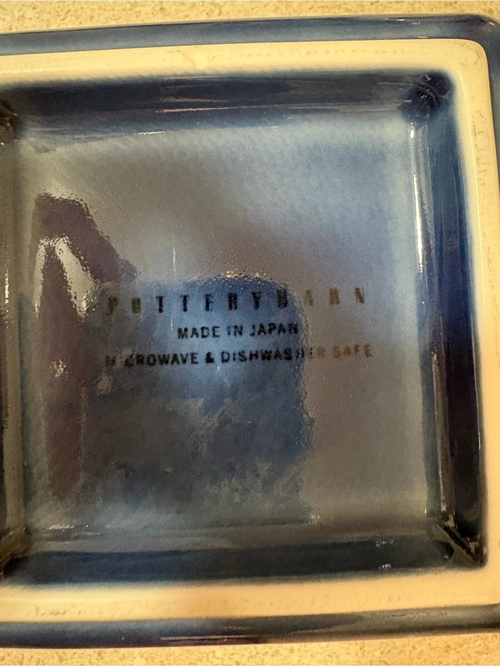 Pottery Barn Asian Square Noodle Bowl with Matching Plate